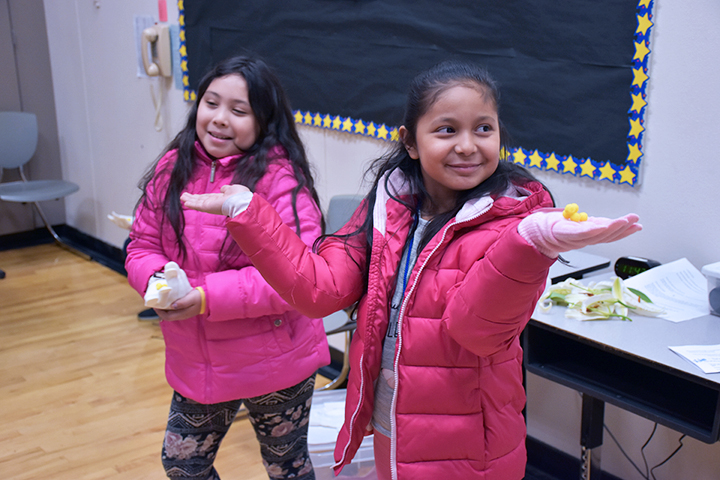 Photo of students learning how pollination works at Hazel Dell Elementary