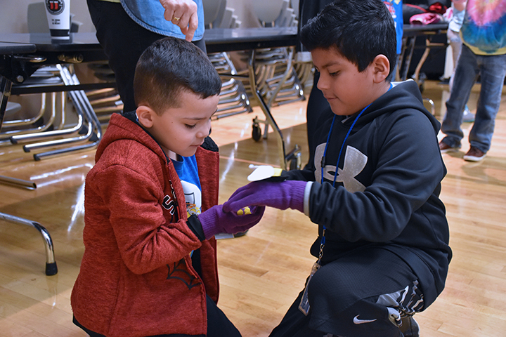 Photo of students learning about pollination at Hazel Dell Elementary
