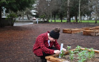 Alexa Attebery checks the progress of fava beans planted at Vancouver Flex Academy