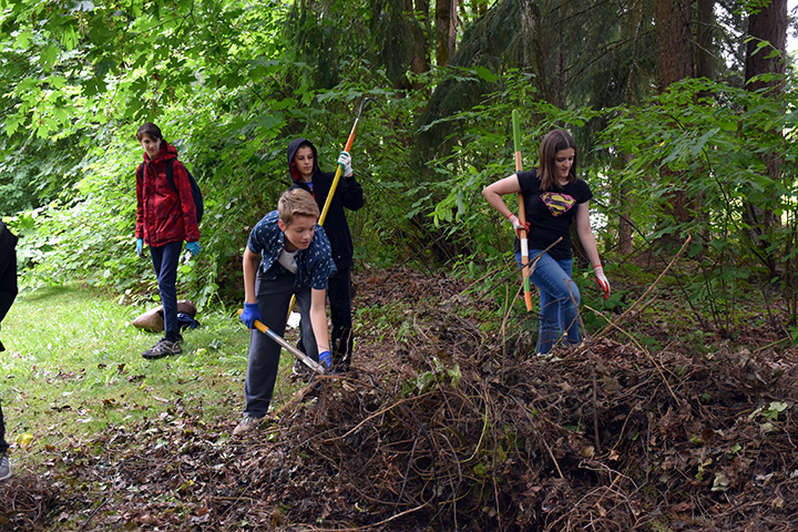 Gaiser students clear dead vines from park