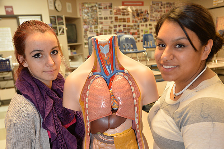Medical Arts students learning about the human anatomy.